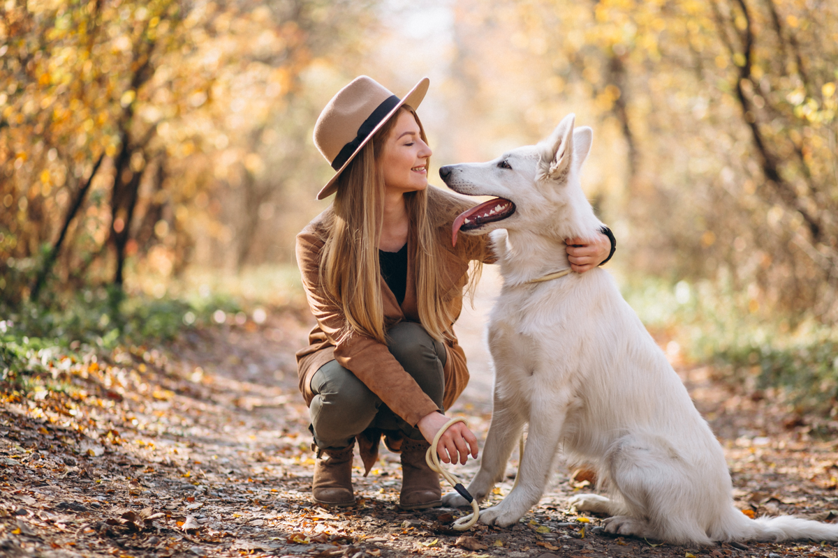 Quels sont les besoins nutritifs d'un chien